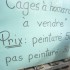 Cage a homard photo Serge Beyer