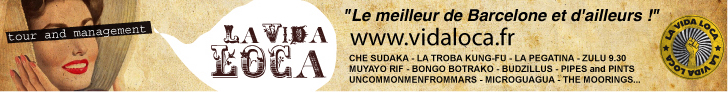 Vidaloca