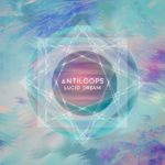 Antiloops, l'album Lucid dreams sur Longueur d'Ondes
