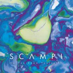 Scampi, son album Do you know yourself ? sur Longueur d'Ondes