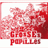 pochette-internet-visuel-cd-grosses-papilles-postillons-vs-crachouillis