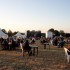Ambiance Rock Préserv' 2009 - Photo : Marylène Eytier