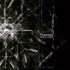 Filiamotsa