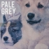 Pale Grey