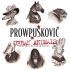 Prowpuskovic