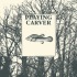 PlayingCraver