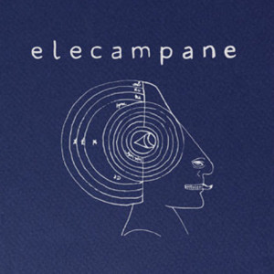Elecampane