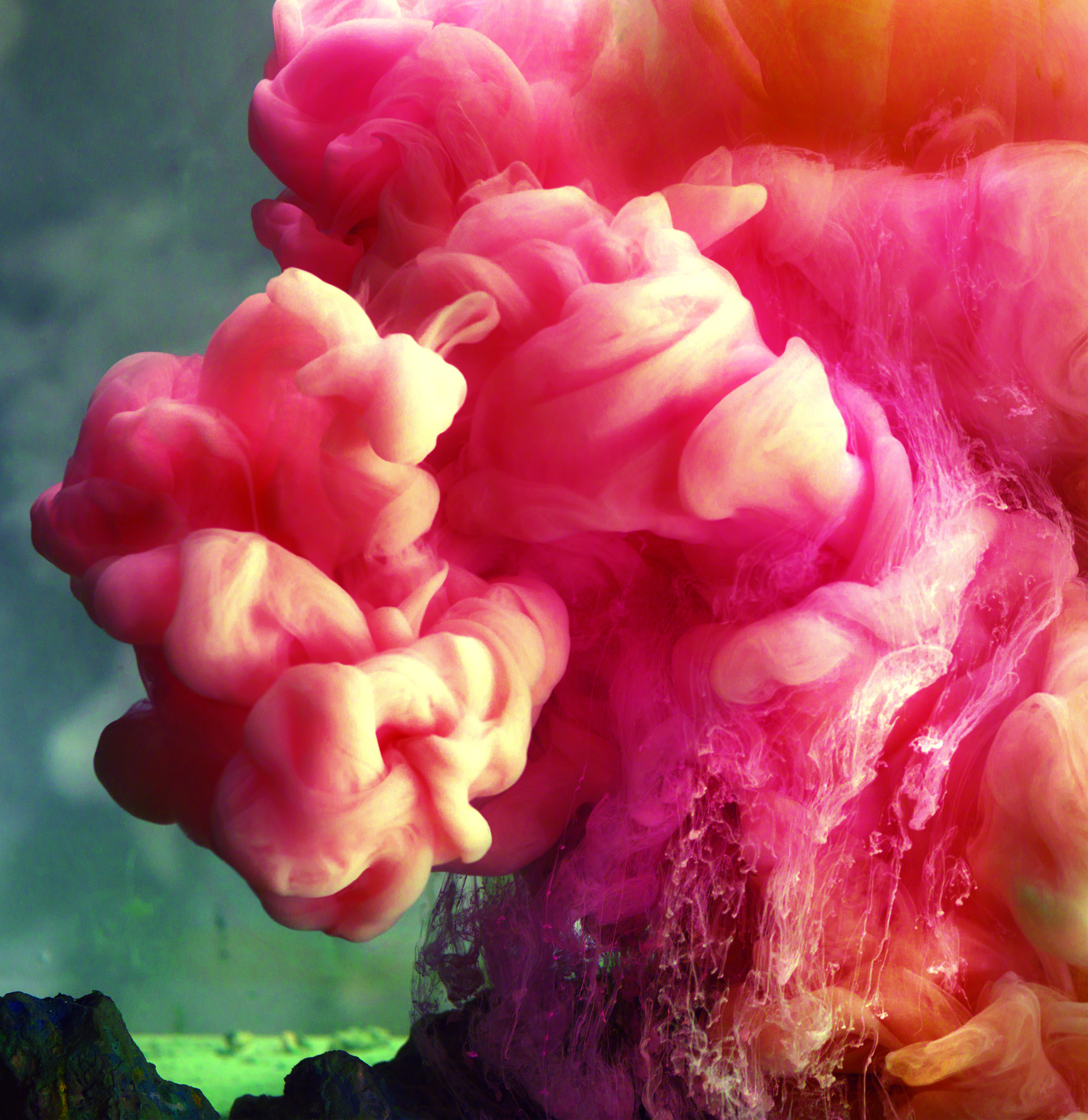 Mutiny on the Bouty - Digital Tropics