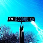 Lys - Redbud