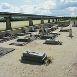 Somaticae - In Paradisium