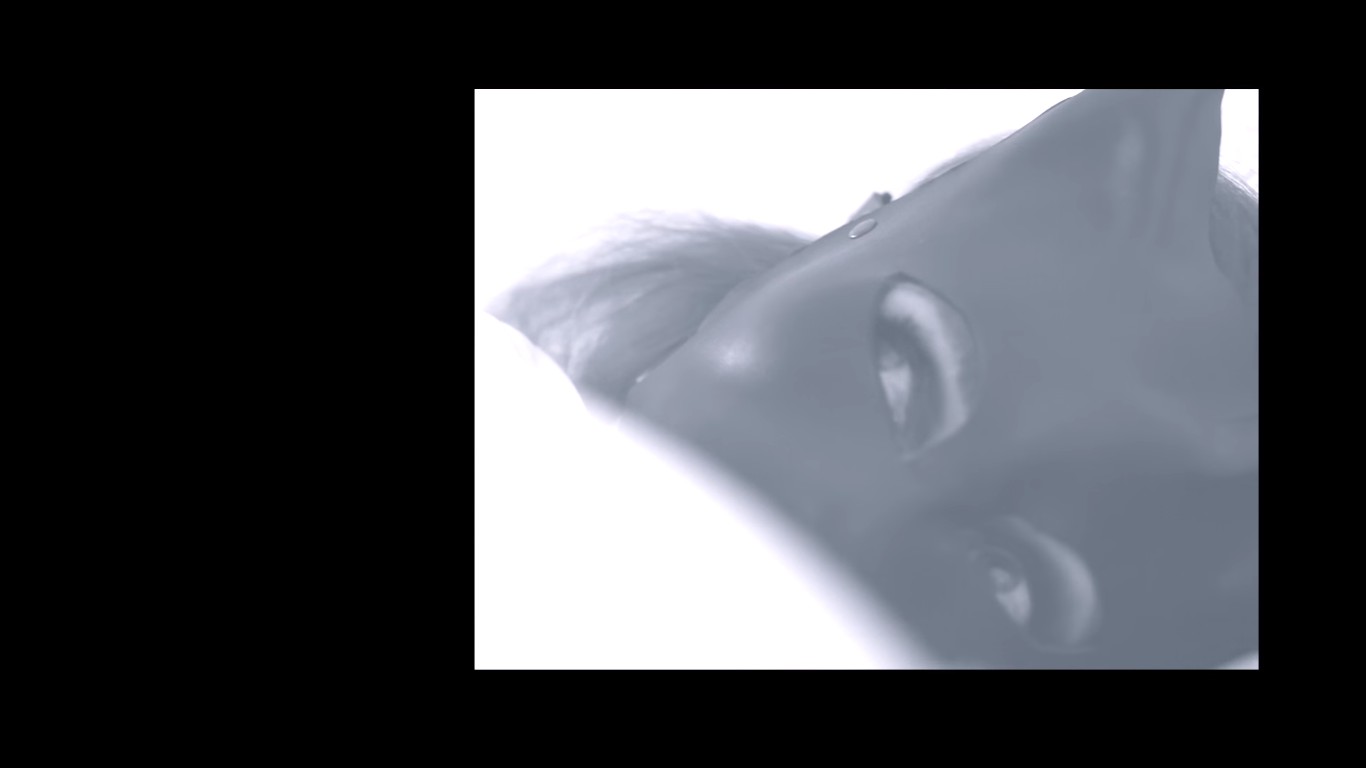 LA PIETA - La Moyenne
