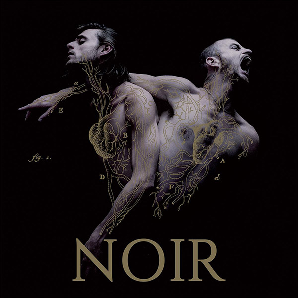 HEYMOONSHAKER, Noir sur Longueur d'Ondes