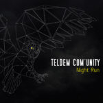 TELDEM COM'UNITY, Night Run sur Longueur d'Ondes