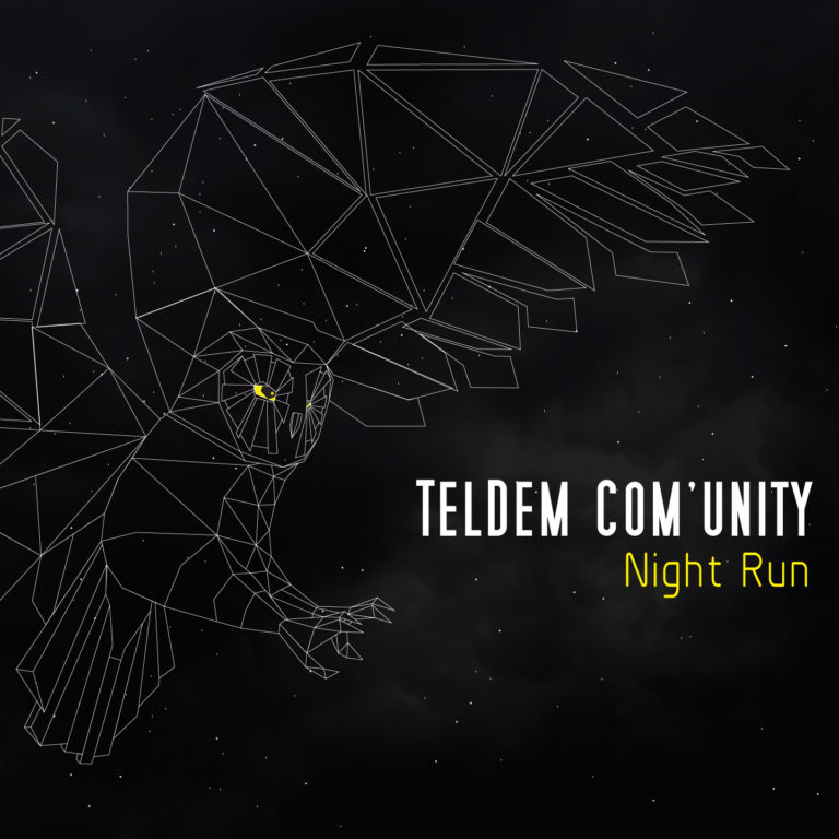 TELDEM COM'UNITY, Night Run sur Longueur d'Ondes