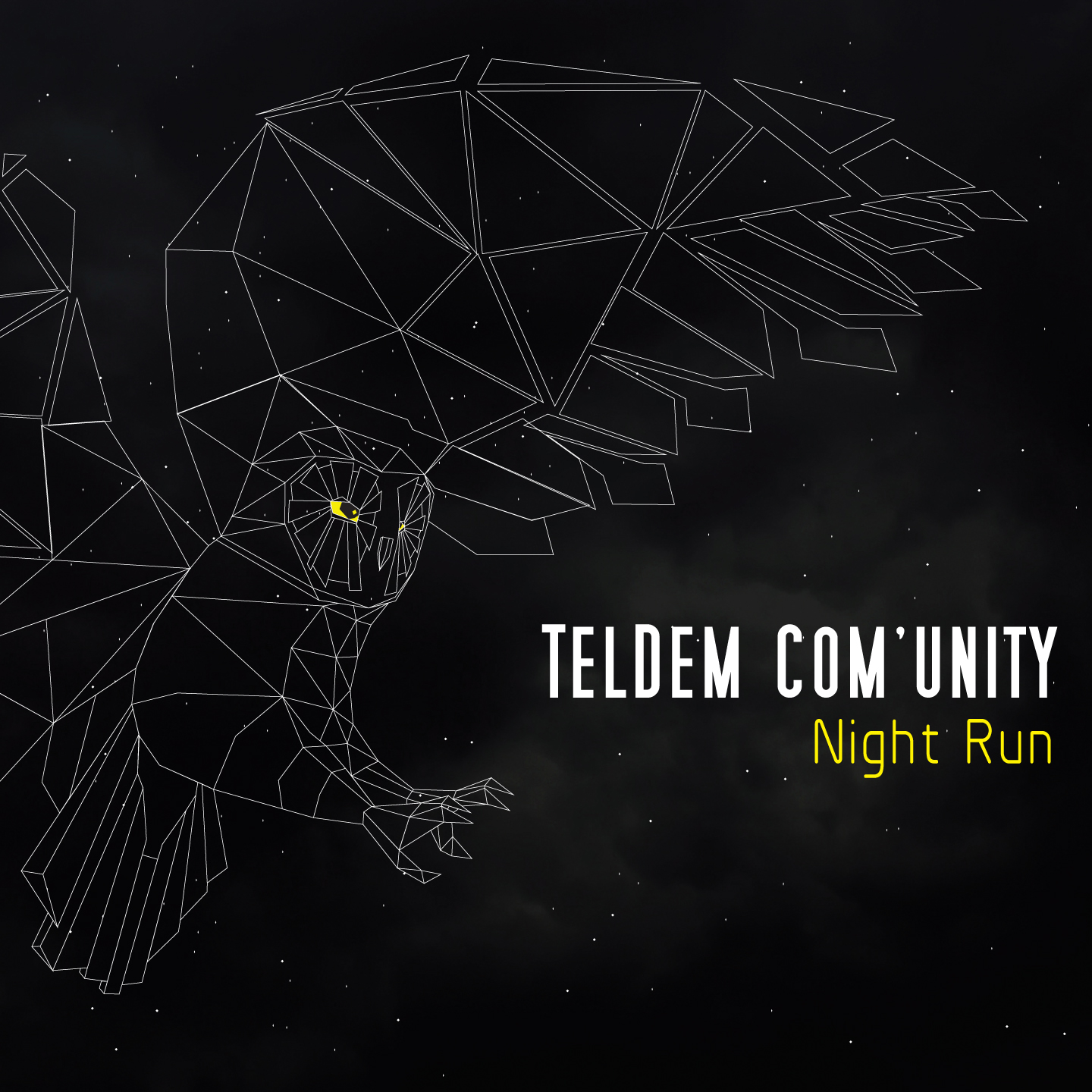 TELDEM COM'UNITY, Night Run sur Longueur d'Ondes