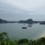 Baie d'Halong - Catfish report sur Longueur d'Ondes