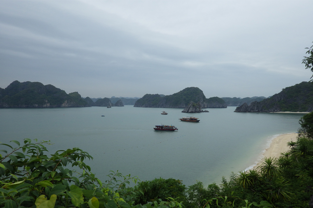 Baie d'Halong - Catfish report sur Longueur d'Ondes