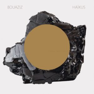 PASCAL BOUAZIZ, Haïkus sur Longueur d'Ondes