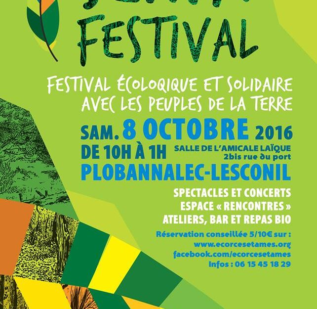 SEIWA FESTIVAL à Plobannalec-Lesconil