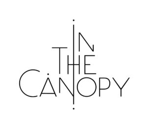 In the Canopy, "Lightshot" sur Longueur d'Ondes