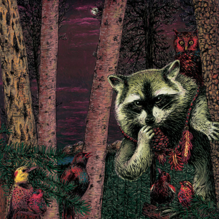 Wild Raccoon, son album Half pine cone sur Longueur d'Ondes