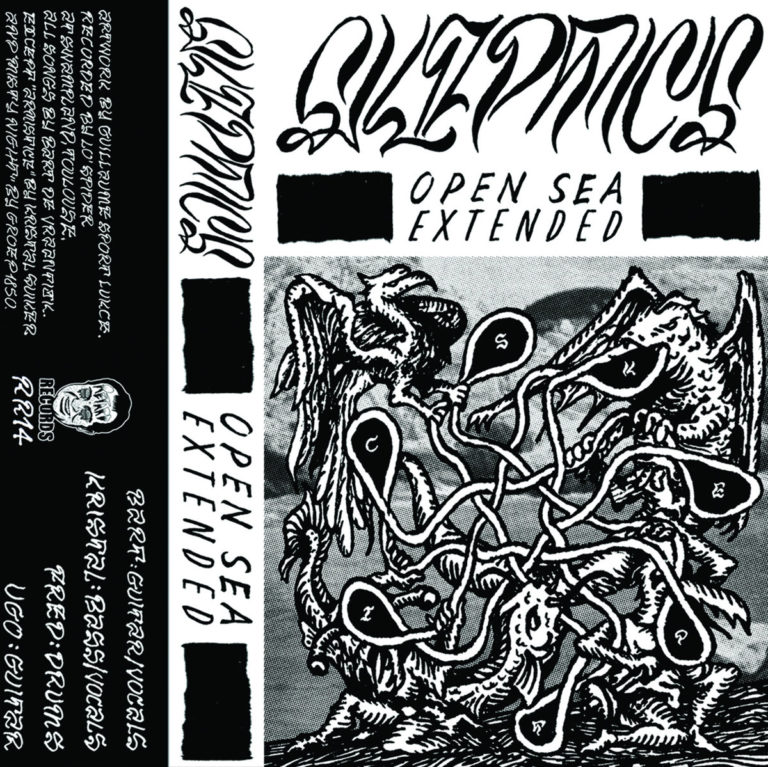 Skeptics, leur album Open Sea sur Longueur d'Ondes