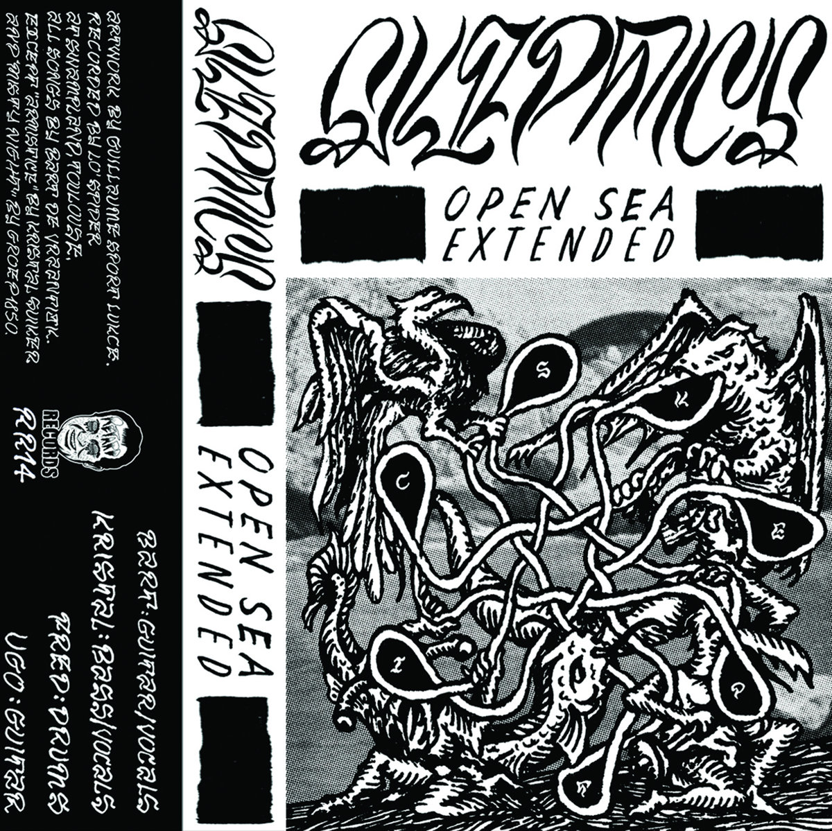 Skeptics, leur album Open Sea sur Longueur d'Ondes