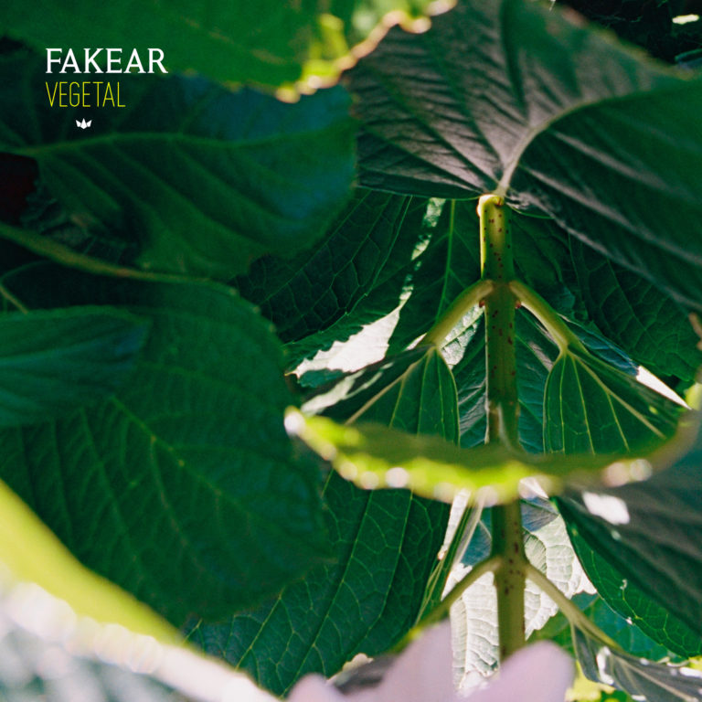 Fakear, son album Vegetal sur Longueur d'Ondes