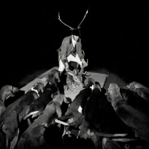 Les Marquises, l'album A Night full of collapses sur Longueur d'Ondes