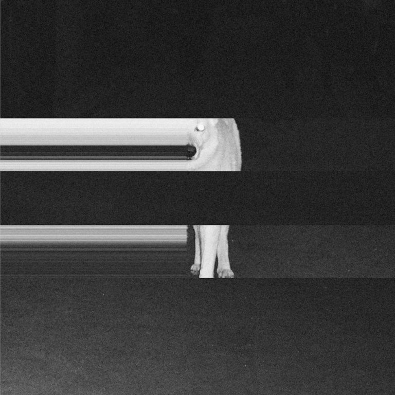 Night Riders, leur album Meta sur Longueur d'Ondes