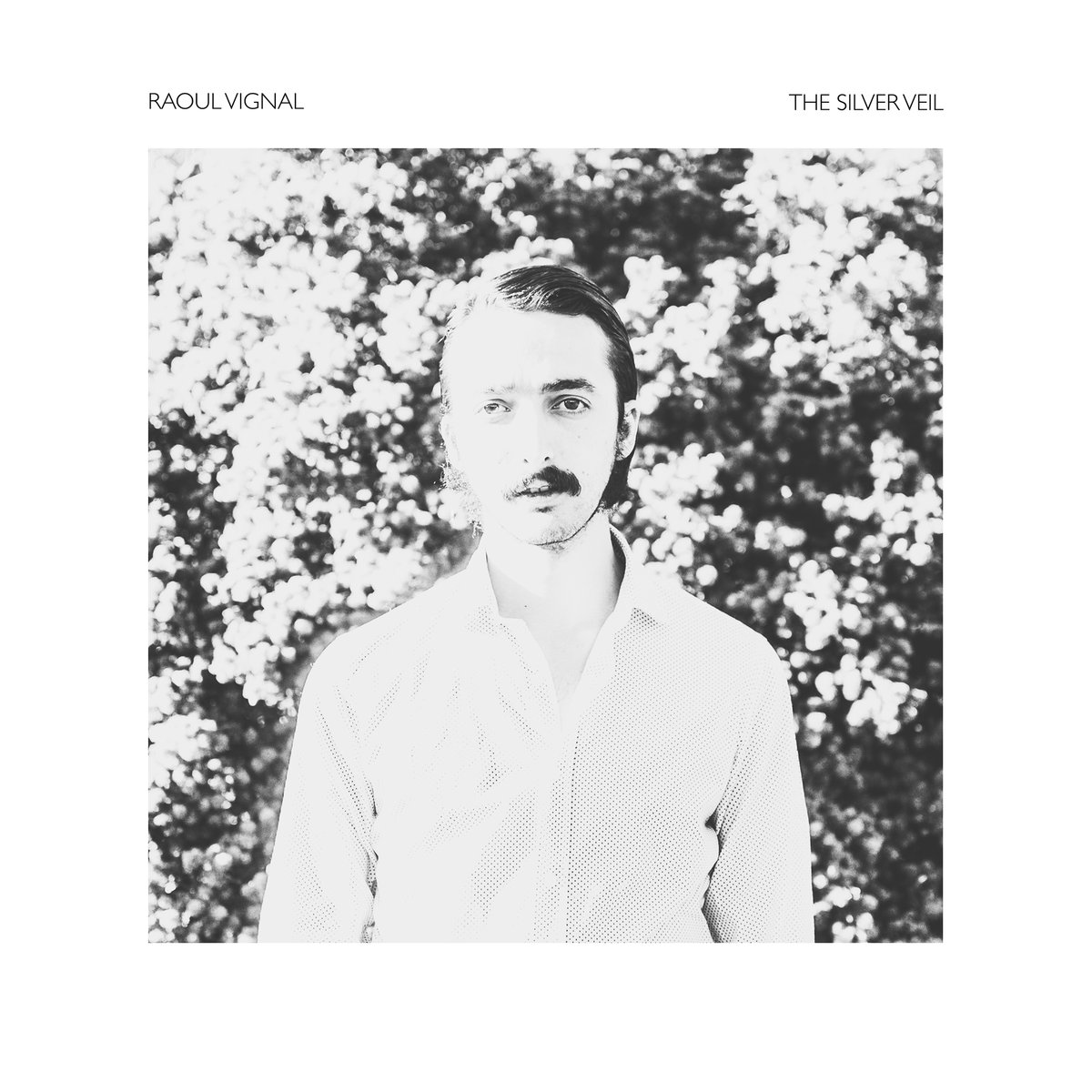 Raoul Vignal, l'album The Silver Veil sur Longueur d'Ondes