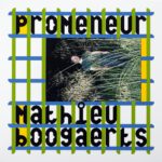 Mathieu Boogaerts, l'album Promeneur sur Longueur d'Ondes