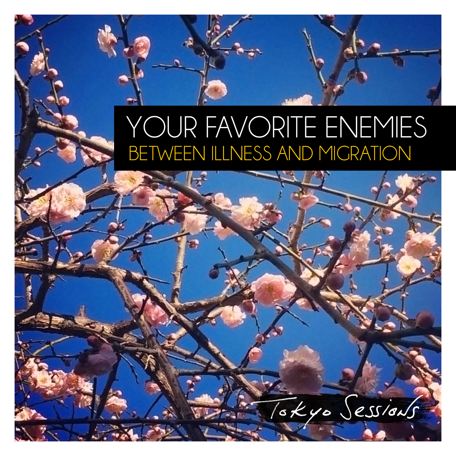 Your Favorite Enemies, Tokyo Sessions sur Longueur d'Ondes