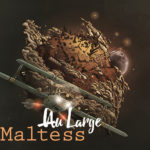 Maltess, son album “Au large” sur Longueur d'Ondes