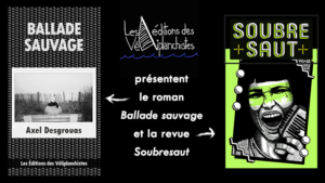 Editions des Veliplanchistes publient roman d'Axel Desgrouas