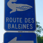 En route ©Serge Beyer - Longueur d'Ondes
