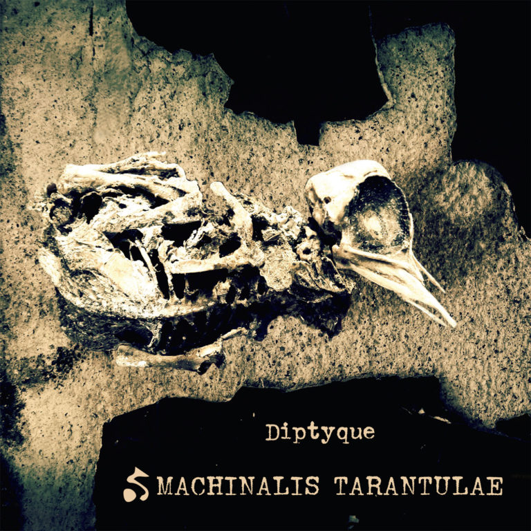 Machinalis Tarentulae, son album Diptyque sur Longueur d'Ondes