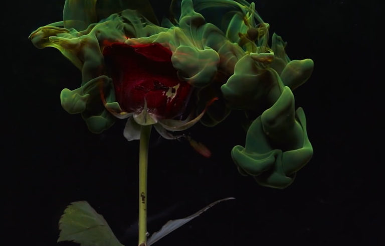 Oceanic Memory, leur clip “Past-time” sur Longueur d'Ondes