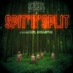 The Experimental Tropic Blues Band, leur album Spit'N'Split sur Longueur d'Ondes