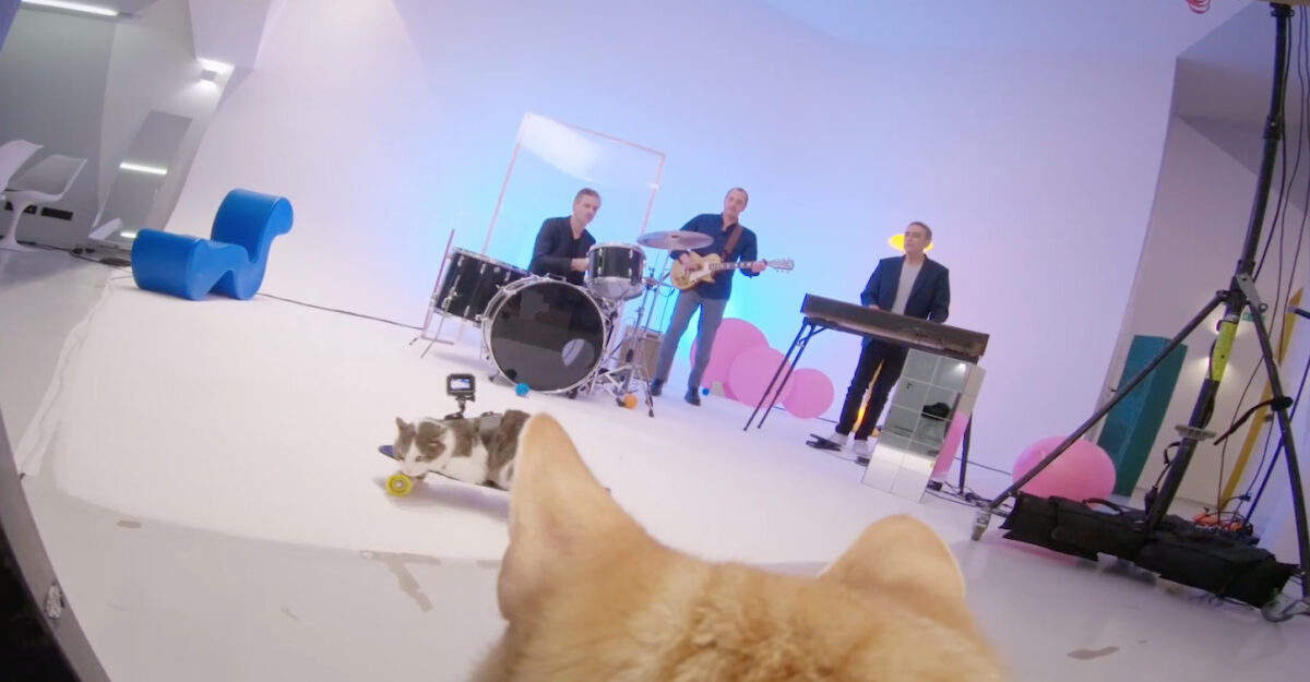 Alain Chamfort, son clip “Tout est pop” sur Longueur d'Ondes