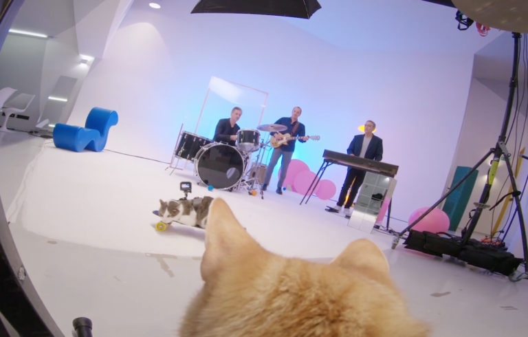 Alain Chamfort, son clip “Tout est pop” sur Longueur d'Ondes