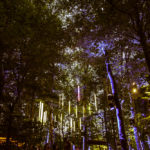 Eurockeennes 2018 - Photo: Guendalina Flamini