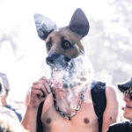 Eurockeennes 2018 - Photo: Guendalina Flamini