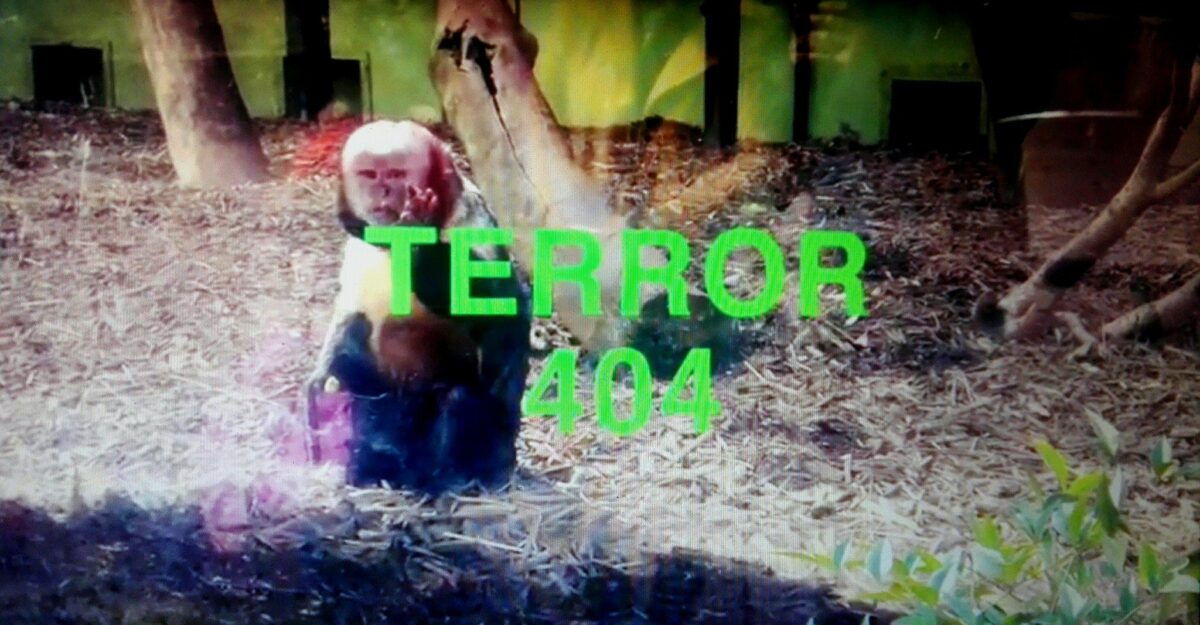 Trainfantome, son clip “TERROR 404” en EXCLU sur Longueur d'Ondes