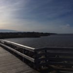 Bord de mer de Caraquet ©Julia Escudero