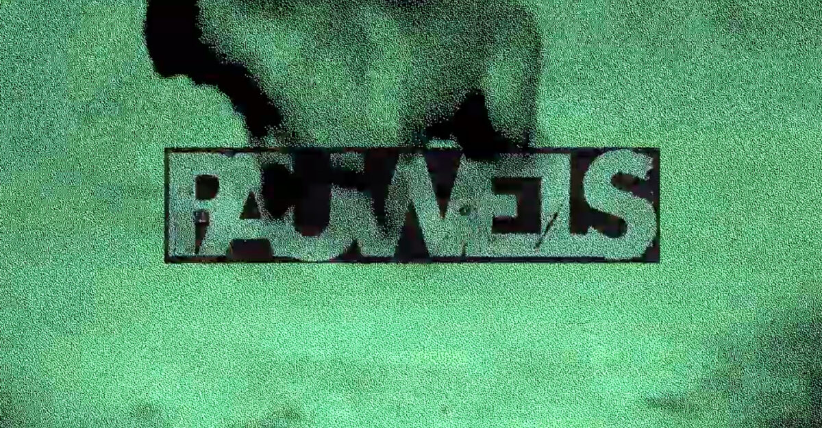 Pauwels, leur clip “Chien” en EXCLU sur Longueur d'Ondes
