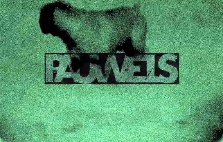 Pauwels, leur clip “Chien” en EXCLU sur Longueur d'Ondes