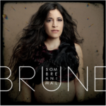 Brune Sombre animal