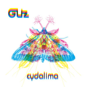 GLIZ Cydalima