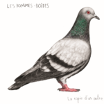 LES HOMMES BOITES